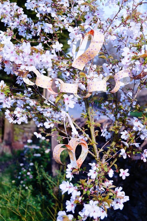 heart and chain in tree