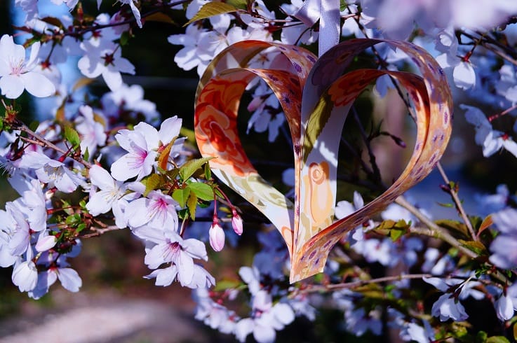 heart in tree