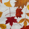 Fallen Leaves Autumn Tissue Paper - Image 3