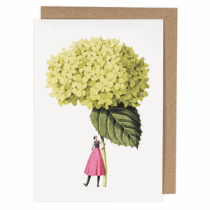 Hydrangea Annabelle Greetings Card