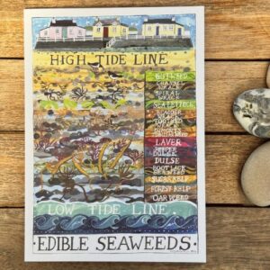 Edible Seaweeds Card