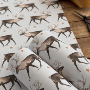 Reindeer and Star Gift Wrapping Paper