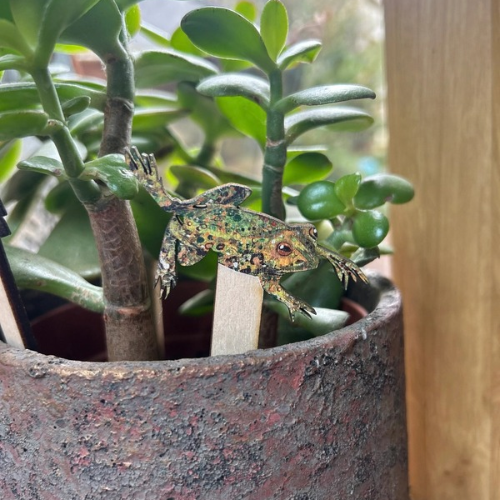 Frog Plant Pot Decorations (Set of 2)