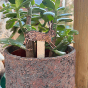 Hare Plant Pot Decorations (Set of 2)